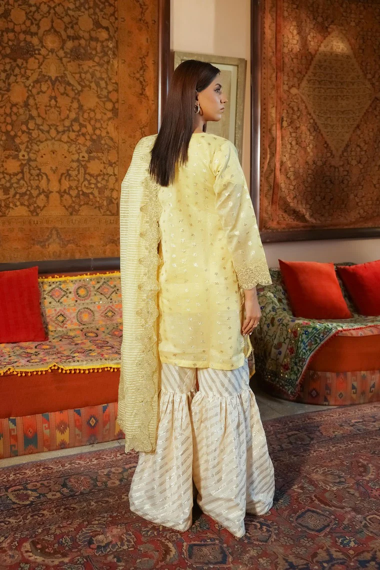 Motif Jacquard Embroidered Suit-271 - Image 5