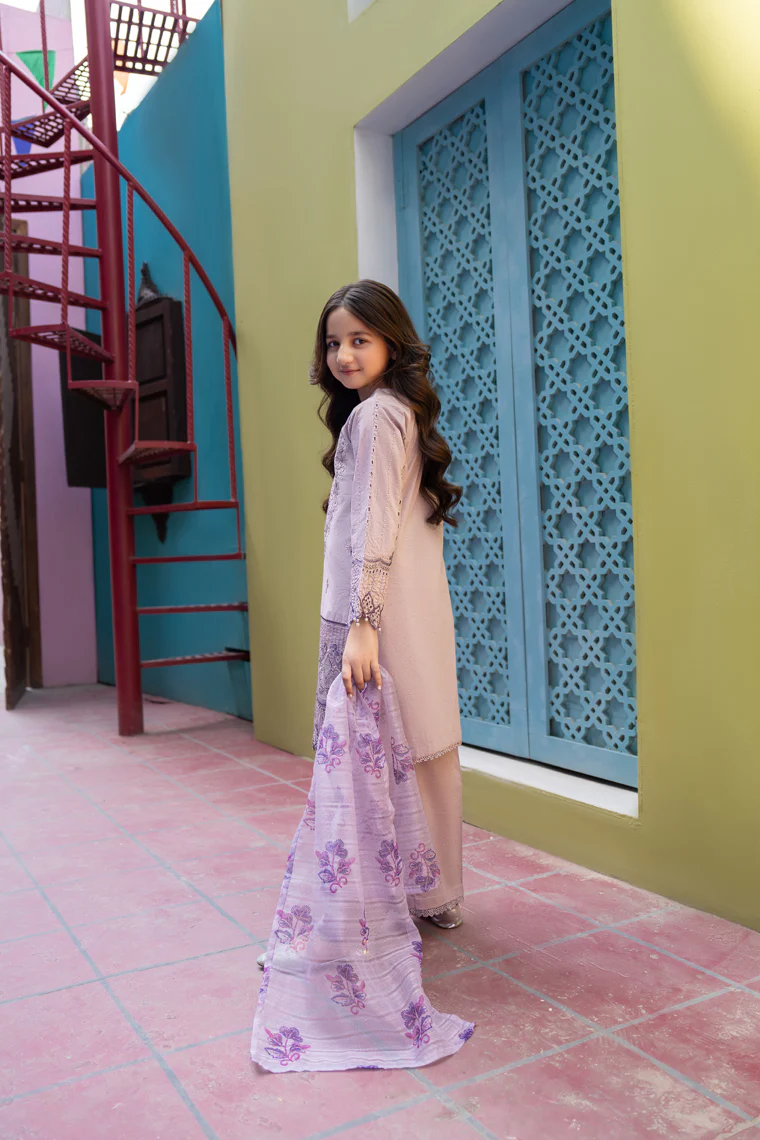 Motif Multi Naps Embroidered Suit-566 - Image 5